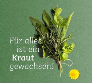 Kräuterwochen 2026